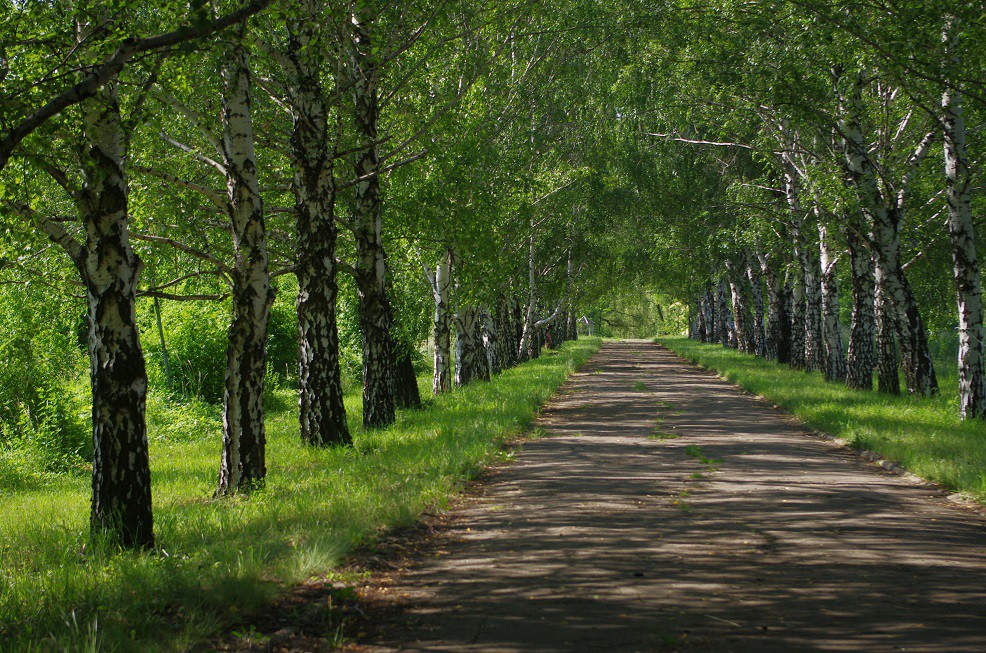 Аллея Покровская